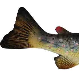Hand-painted Cutthroat Trout replica tail showing fine structure and realism