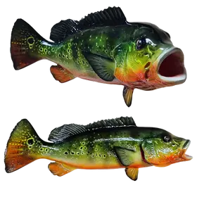 Detailed Peacock Bass Replicated from Photograph