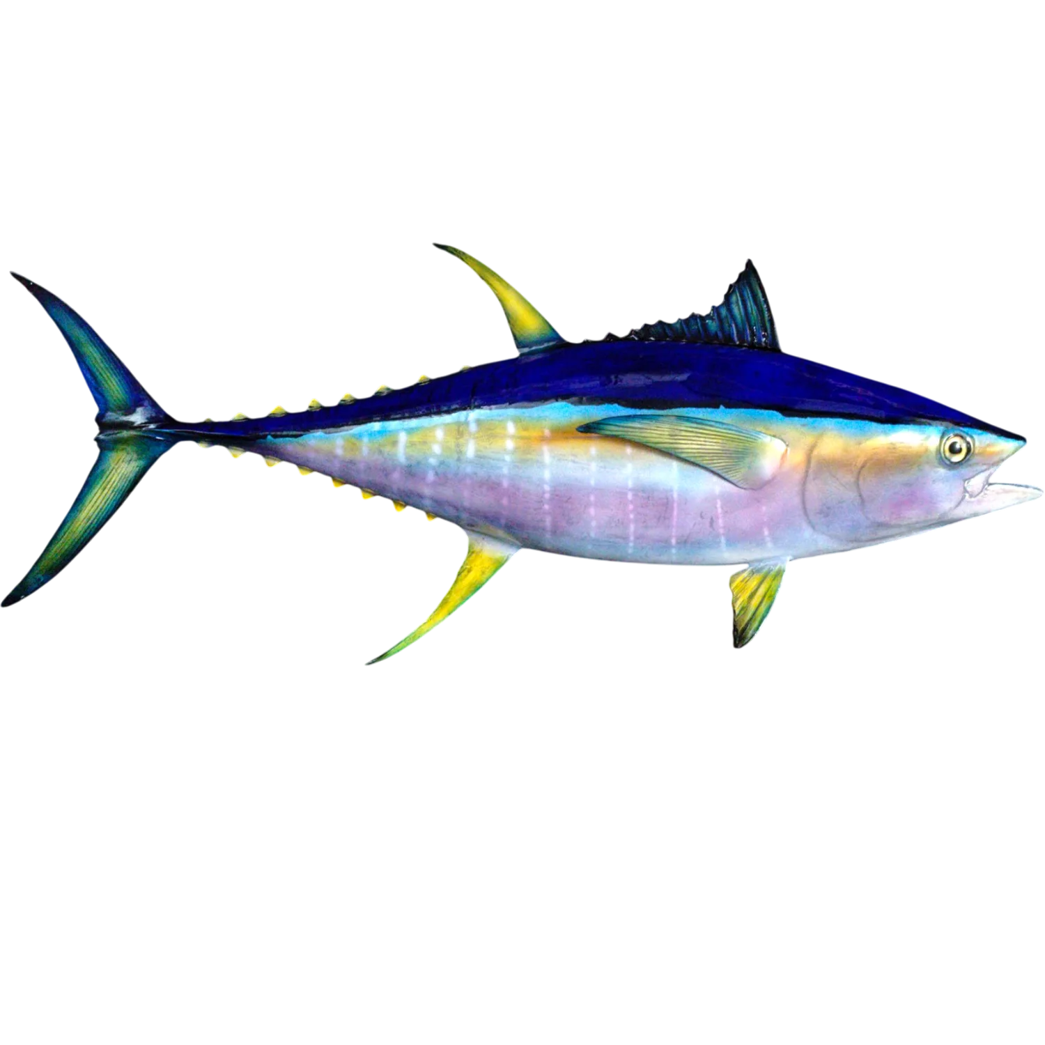 Yellowfin Tuna Fish Mount Replica