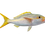 Thumbnail: yellowtail snapper fish mount replica 26 inch full mount right side profile hand airbrushed