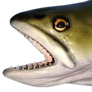 Close-up of Brook Trout fish mount showing mouth structure, sculpted teeth, and glass eye