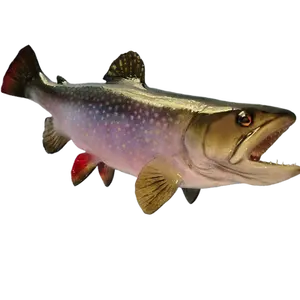 Brook Trout fiberglass fish mount replica right-facing downward pitch 3D view