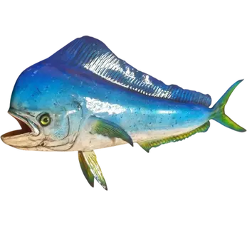 26-inch Mahi Bull fiberglass full mount replica with hand-sculpted open mouth and hand-painted glass eye by Greg Cassell