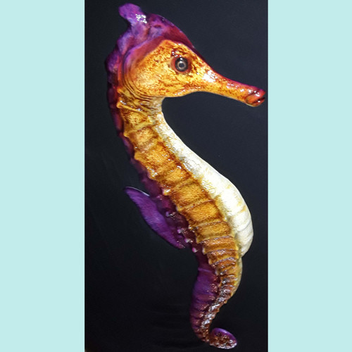 Decorative Seahorse Mounts | Hand-Painted by artist Greg Cassell