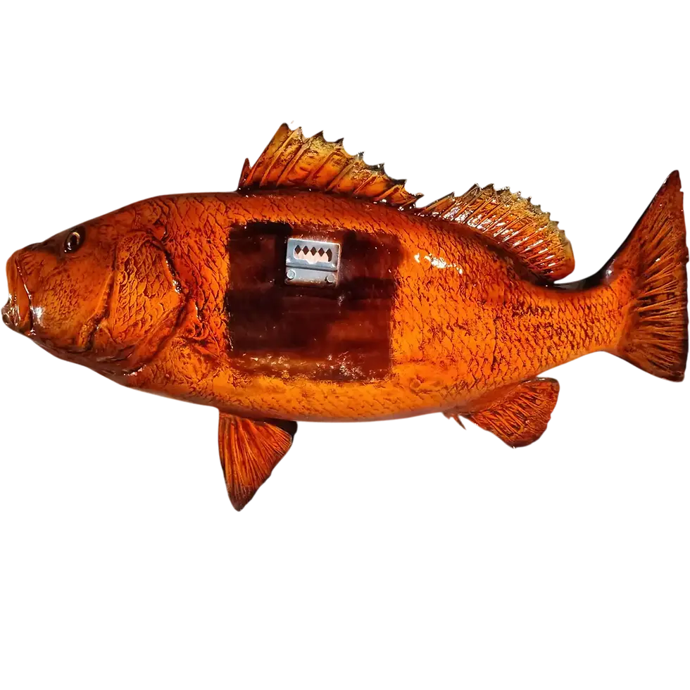 Thumbnail: Back of a Cubera Snapper wall mount showing a metal bracket and a painted eye.
