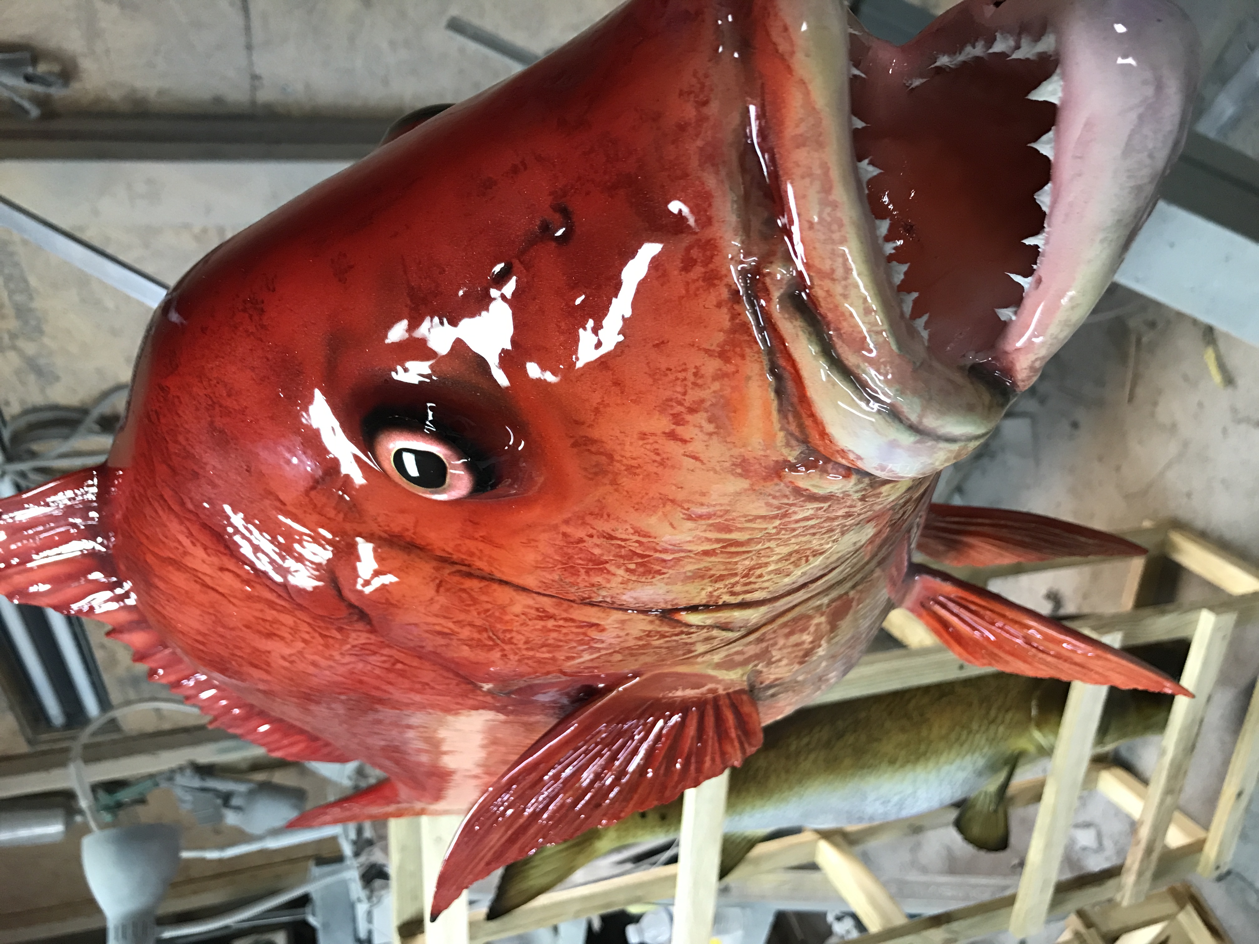 Buy Red Snapper Fish Mount Replicas | Custom Saltwater Mounts