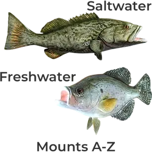 Custom fish mount selection gallery featuring saltwater and freshwater replicas for ordering.