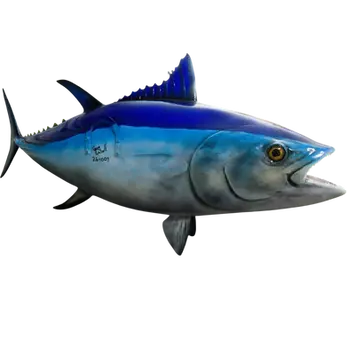 60-inch Bluefin Tuna full mount replica with torpedo body and sickle fins by Greg Cassell, Florida Fish Mounts
