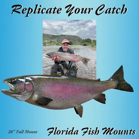 Angler holding a real 28-inch rainbow trout next to a fiberglass fish mount replica painted by Greg Cassell.
