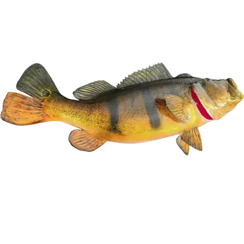 Peacock Bass fish mount replica handpainted by Greg Cassell Florida Fish Mounts