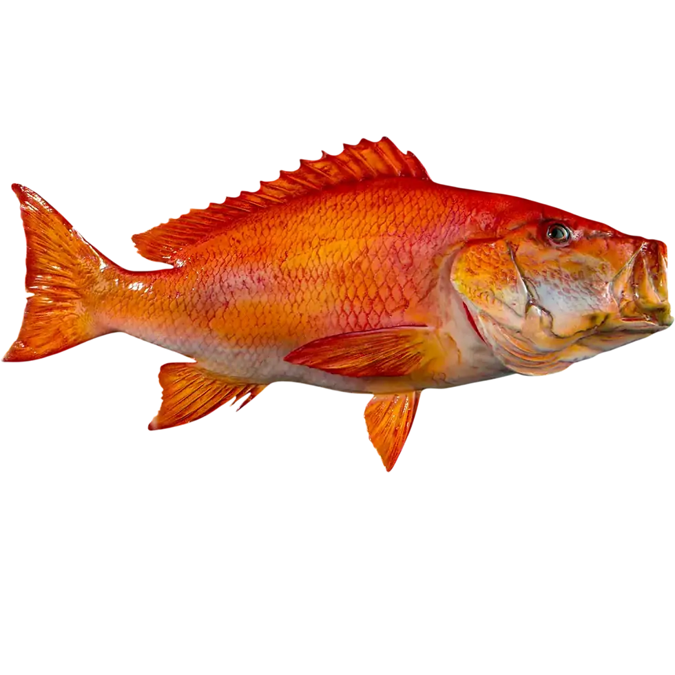 28 inch Red Snapper fish wall mount replica by artist Greg Cassell at Florida Fish Mounts