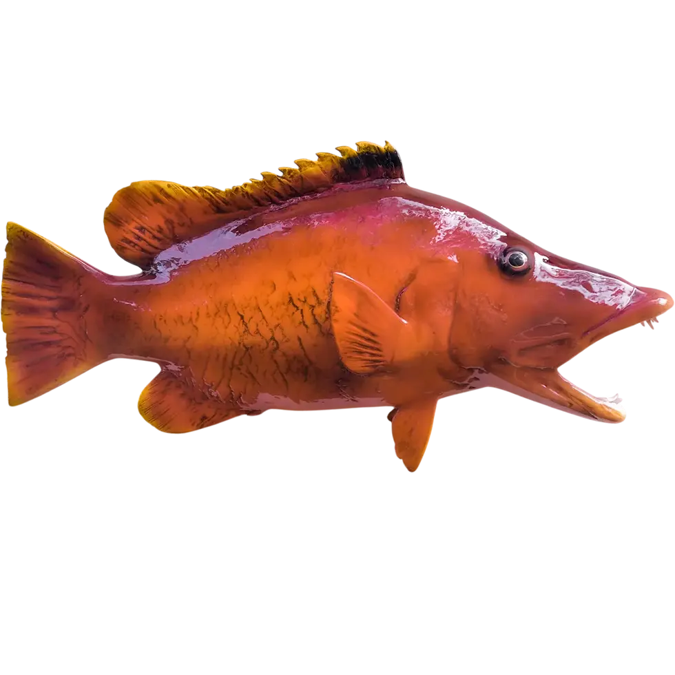 Custom fiberglass barred hogfish full mount replica painted to match catch photo