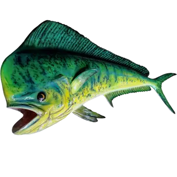 26-inch Mahi Bull fiberglass full mount replica with hand-sculpted open mouth and hand-painted glass eye by Greg Cassell