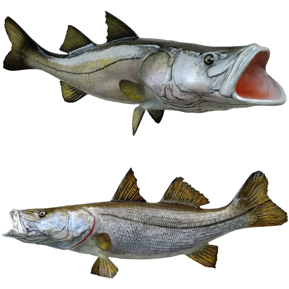 41 inch Snook fish mount replica right-facing face close up and full length wall profile showing glass eye and lateral line
