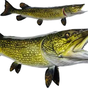 Close-up of Northern Pike fiberglass half mount, emphasizing detailed markings, vibrant green and yellow hues, and natural fish texture.