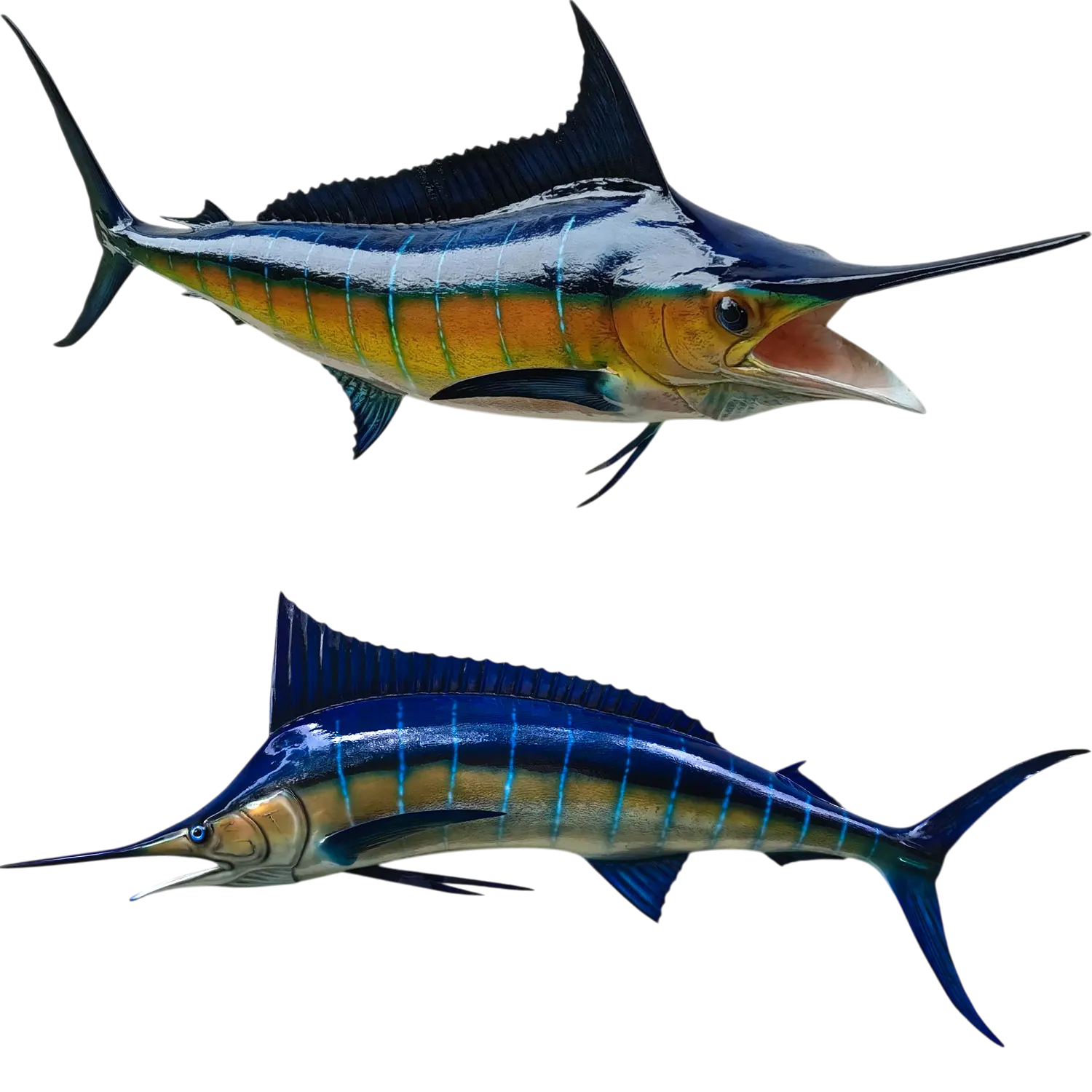 Blue Marlin Fish Mount Replicas