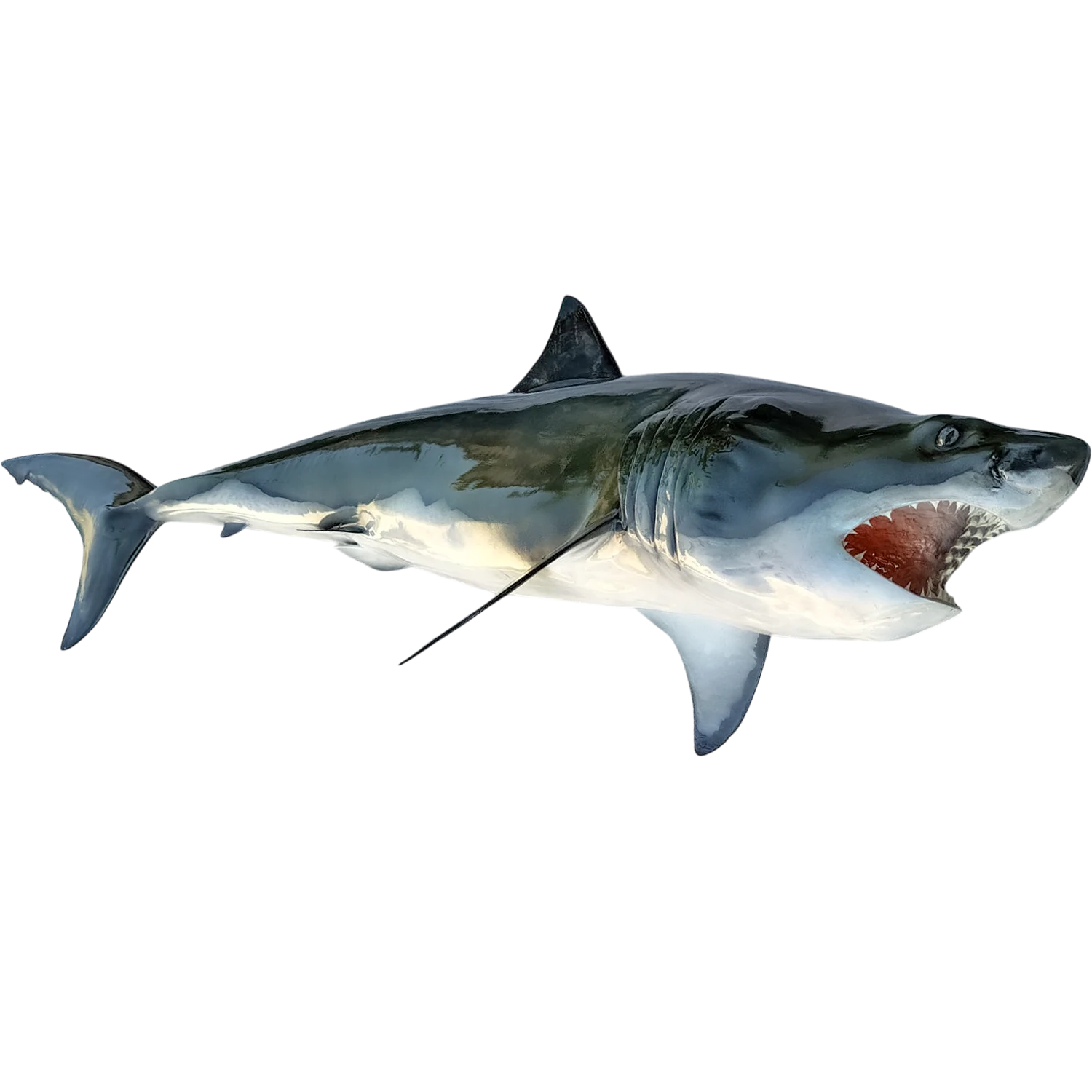 Great White Shark Mount Replica