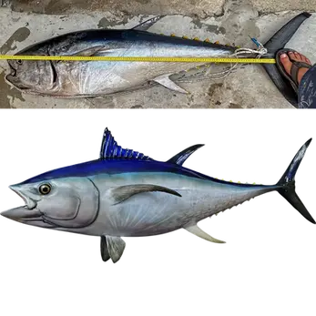 60-inch Bluefin Tuna full mount replica with torpedo body and sickle fins by Greg Cassell, Florida Fish Mounts
