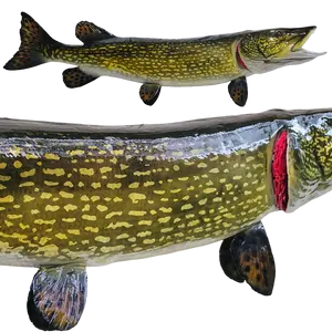 Mid-body close-up of Northern Pike fiberglass mount, showing realistic scale patterns and rich color variations on the fish's side.