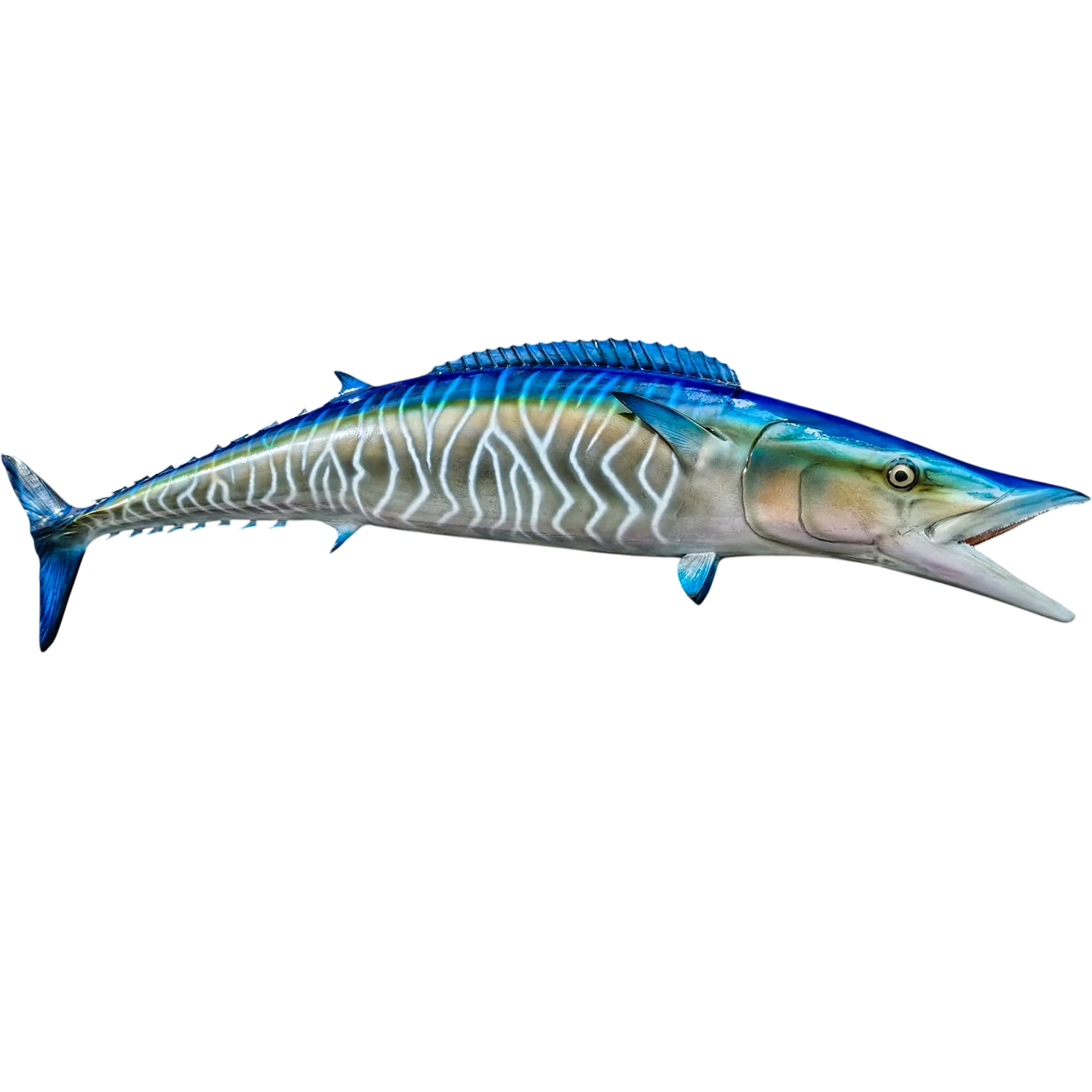 Wahoo Fish Mount Replica