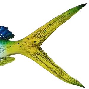 Tail fin close‑up of ocean blue Mahi Cow mount showing fin ray detail