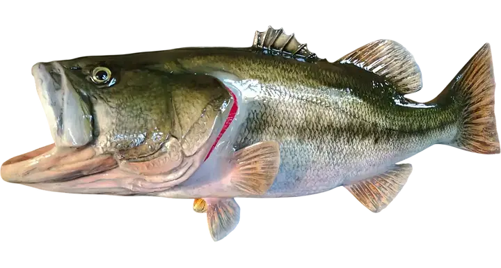 Fish Mount Replicas hand Painted by artist Greg Cassell at FloridaFishMounts.com