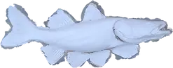 Raw Snook full mount fiberglass blank showing first generation mold detail and scale texture