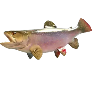 Brook Trout full mount lean-into-view pedestal angle