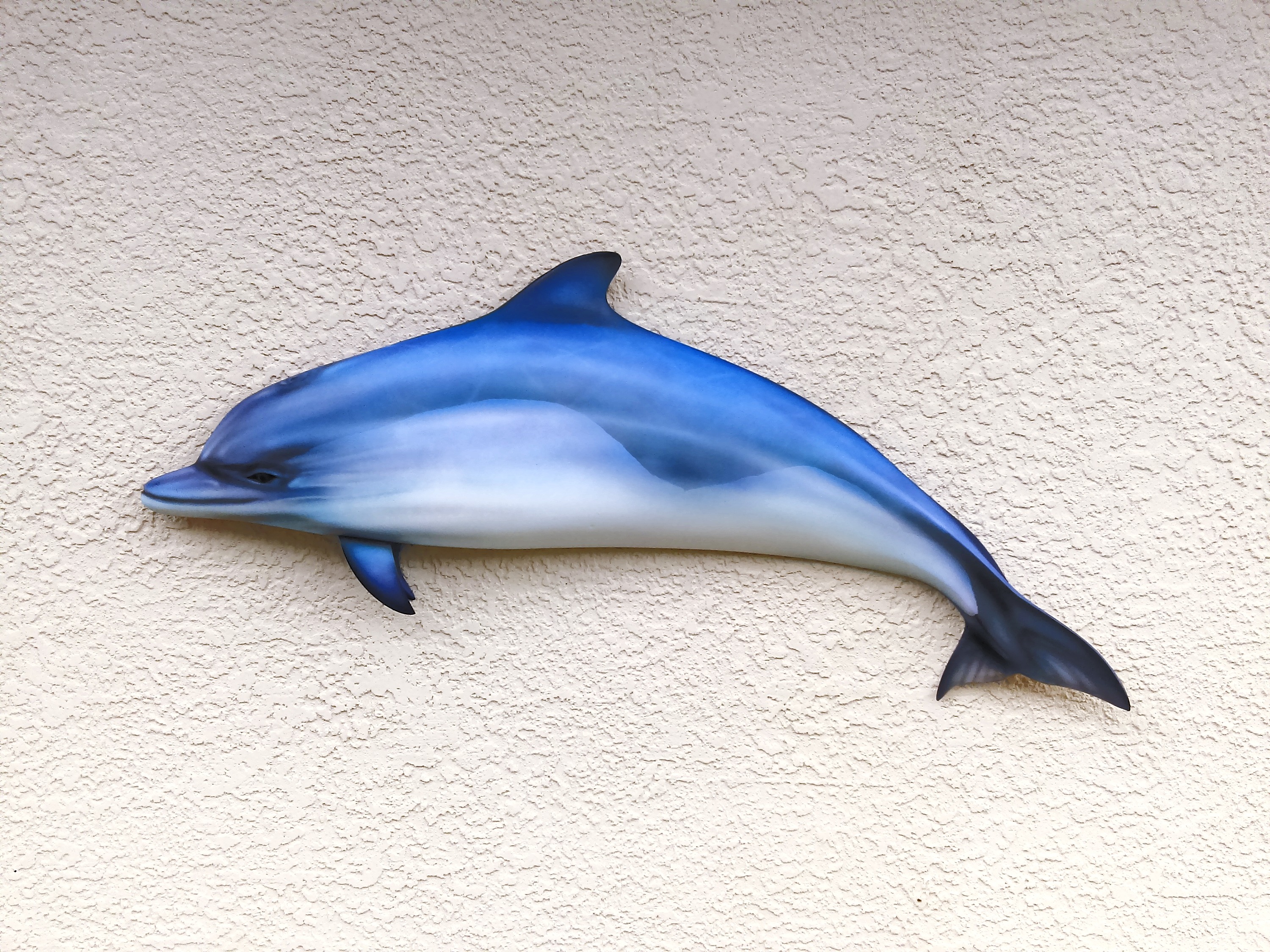 Porpoise/Dolphin
