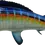 Thumbnail: white marlin replica full mount left-facing rear midsection showing finlet area and scale detail