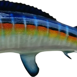 white marlin replica full mount left-facing rear midsection showing finlet area and scale detail