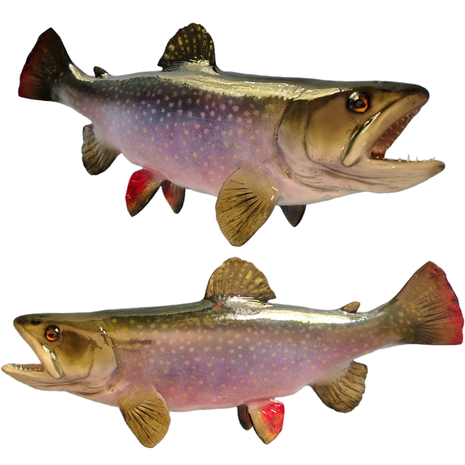 Brook Trout Replica