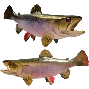 Brook Trout fish mount replica 3D face view and flat side panorama