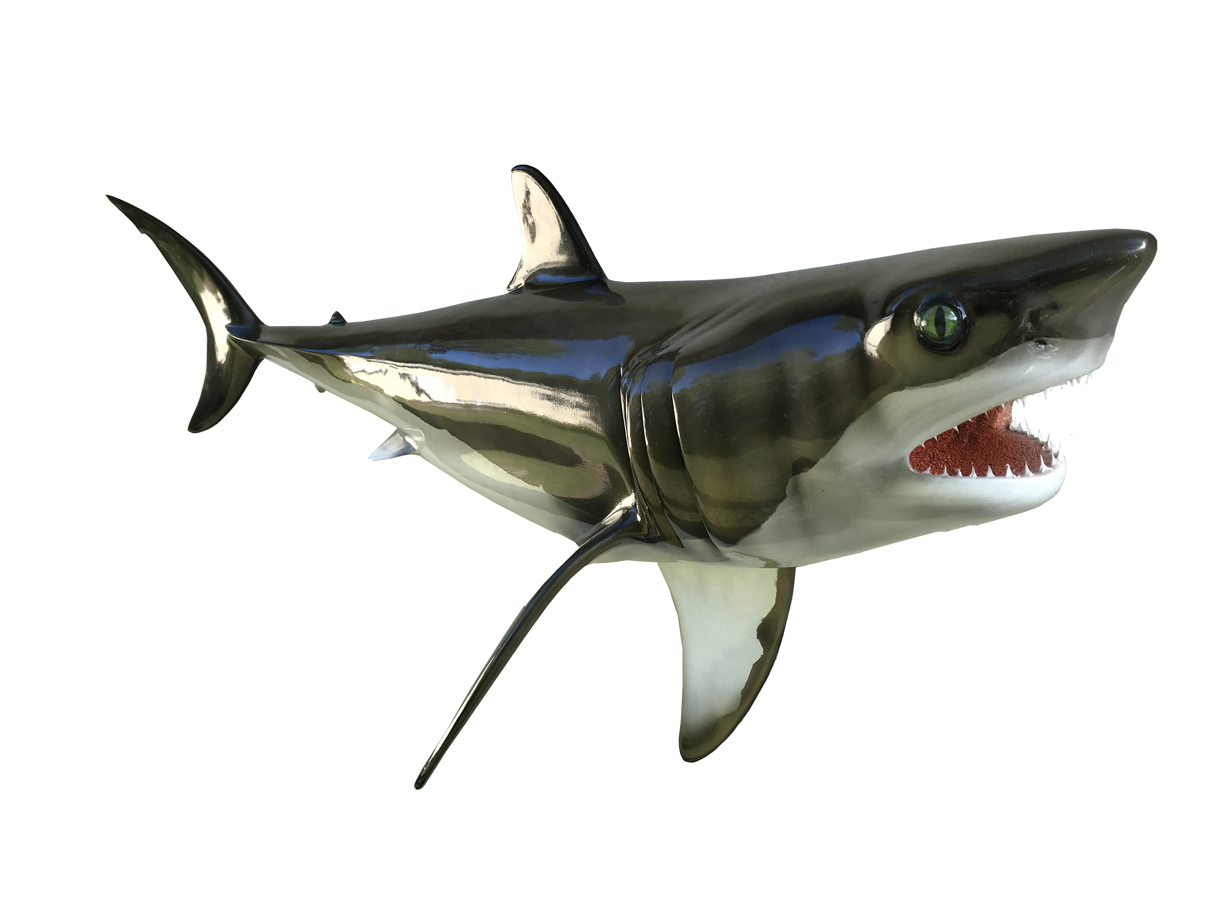 Great White Shark