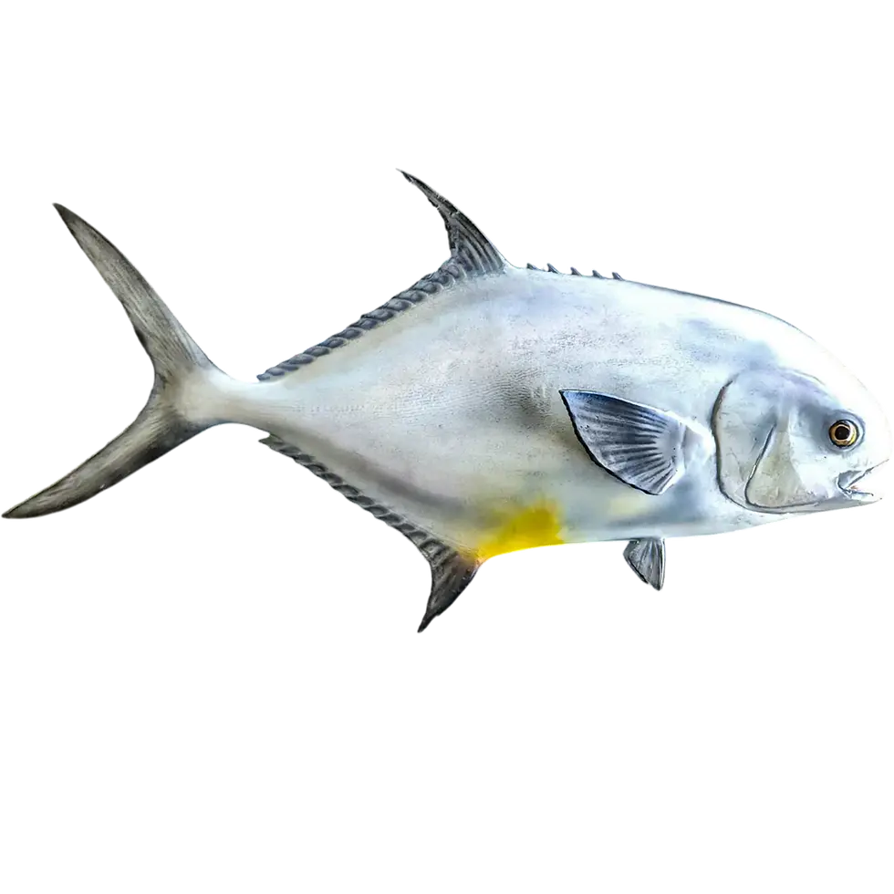 30 inch full wall mount permit fish replica painted to match fisherman's photo by artist Greg Cassell