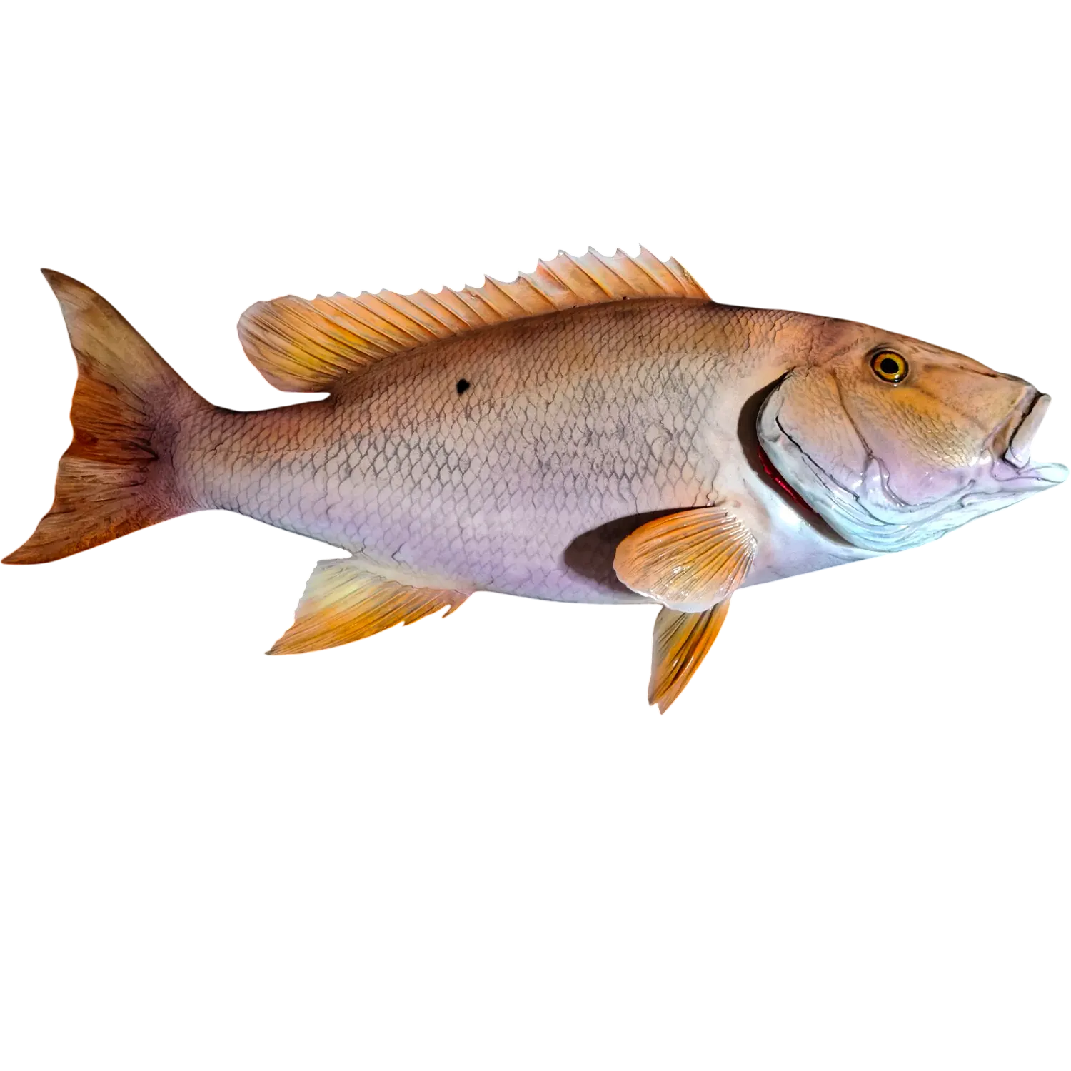 Mutton Snapper Fish Mount Replica