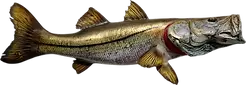 Painted Snook full mount pre clear showing color match and patterning for approval