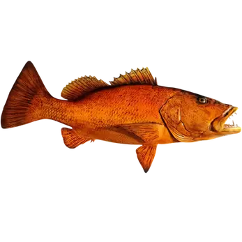 Custom Cubera Snapper Fiberglass Wall Mount Replica