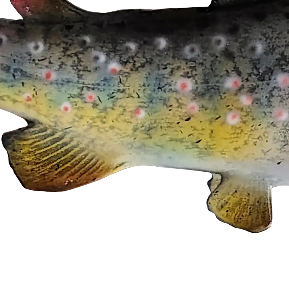 Thumbnail: Belly and fins close-up of Cutthroat Trout fish mount with soft blending and realistic form