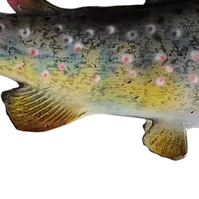 Underside fin and belly view of Cutthroat Trout replica painted by Greg Cassell