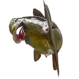 Life-like Largemouth Bass Replica - Home Décor