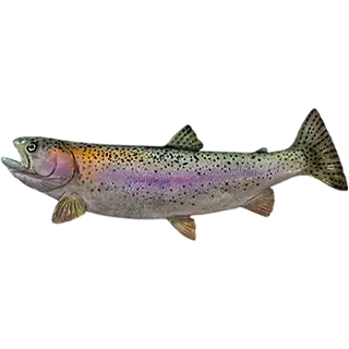Realistic rainbow trout freshwater fish mount replica with characteristic pink stripe and fine spotting detail.