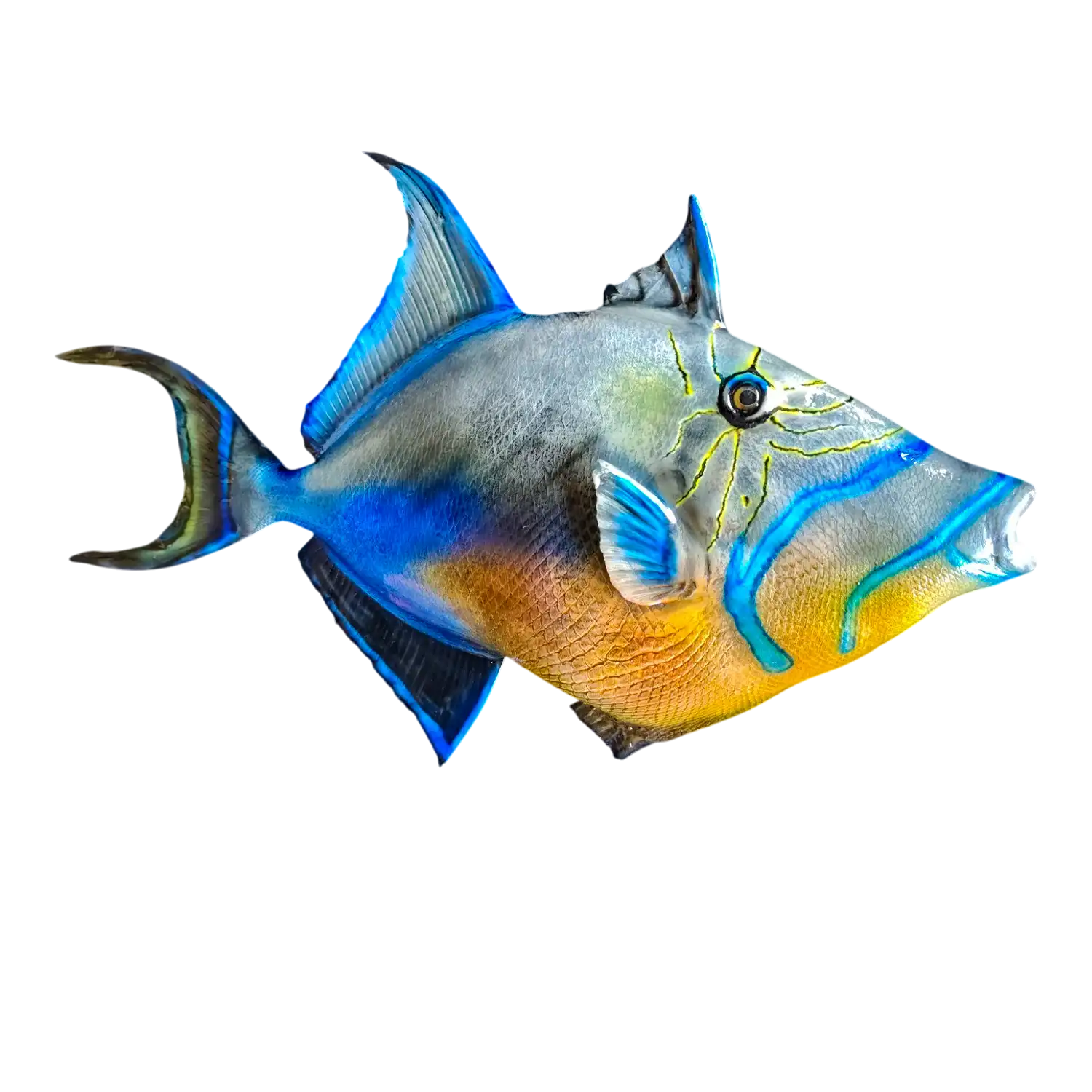 Queen Triggerfish Fish Mount Replica