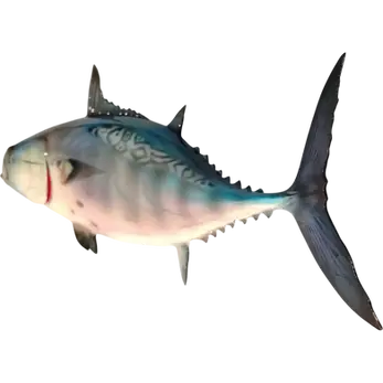 False Albacore bonita fish mount replica left-facing half mount worm markings pectoral fin spots