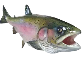 Angled close-up of a 28-inch fiberglass rainbow trout fish mount replica.