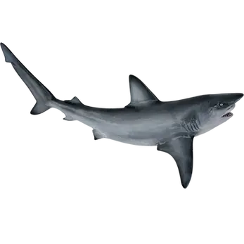 90 inch bull shark full mount fiberglass replica, open-jaw pose, painted by artist Greg Cassell at Florida Fish Mounts