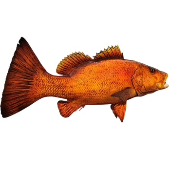 Custom Cubera Snapper Fiberglass Wall Mount Replica