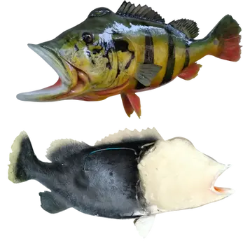 Peacock Bass fish mount replica handpainted by Greg Cassell Florida Fish Mounts