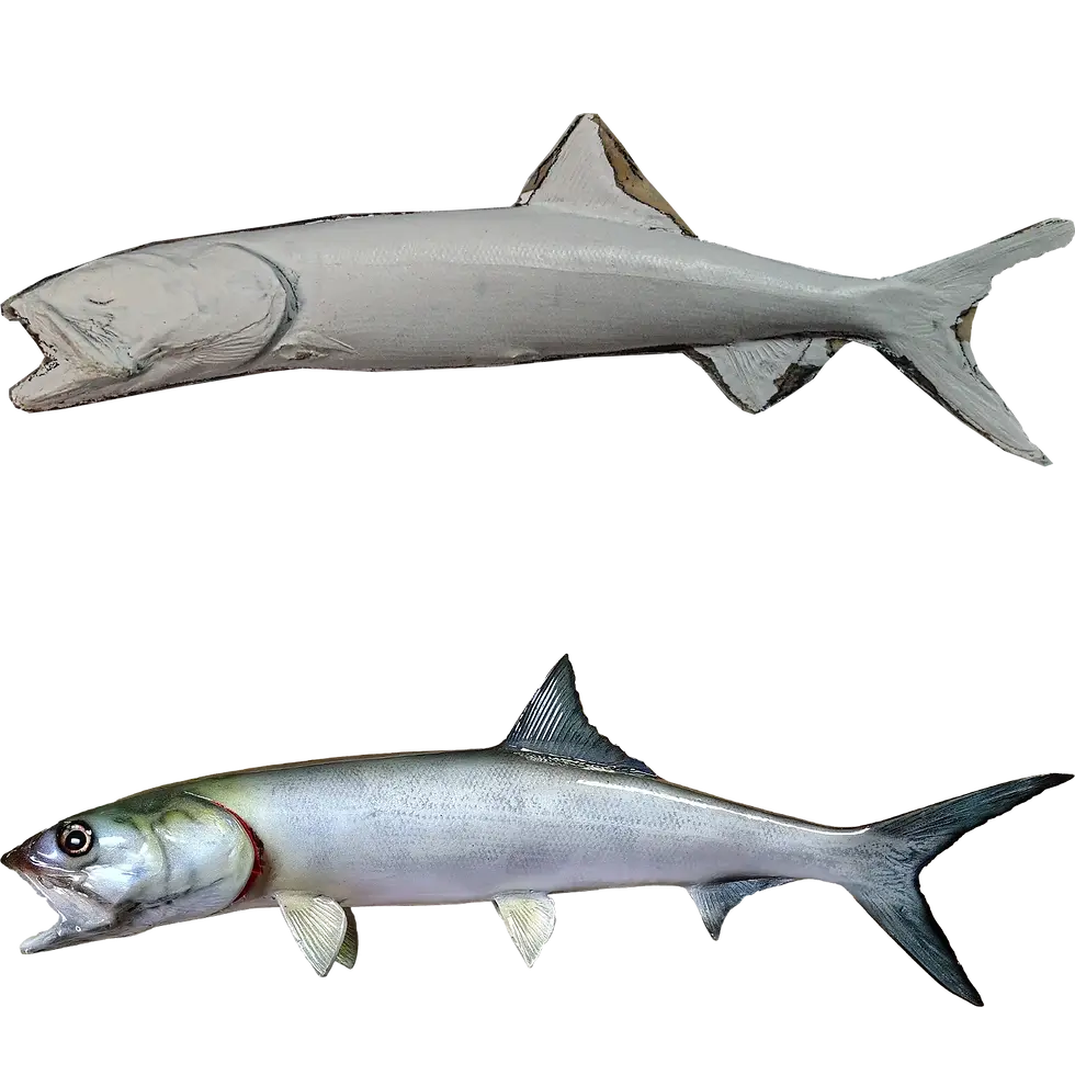 Thumbnail: Ladyfish raw fiberglass blank and finished full mount side by side