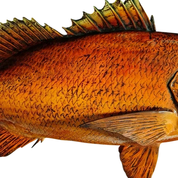 Custom Cubera Snapper Fiberglass Wall Mount Replica